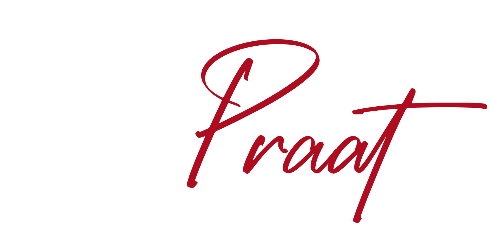 pkw-praat-logo